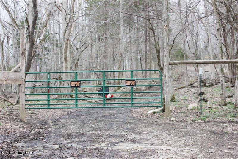0 White Ridge Road Burkesville, KY 42717 - Photo 3 of 13 153 (Medium)