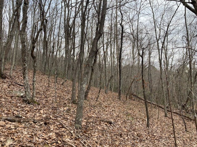 80 Tbd Route Saltville, VA 24370 - Photo 2 of 5 Gallery Image 2