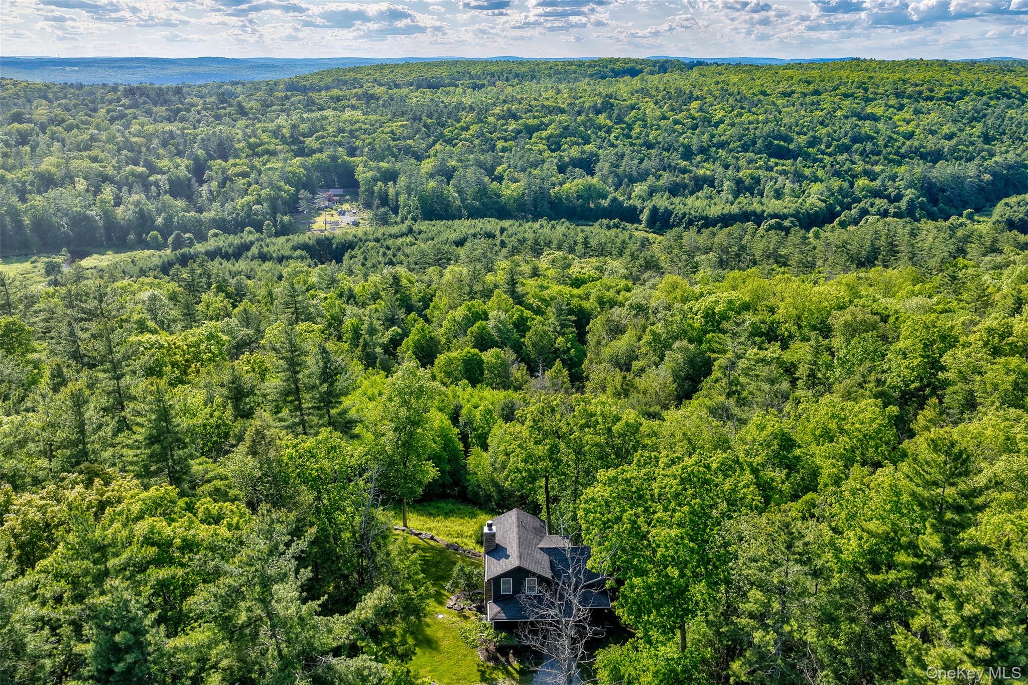 119 Lake Ridge Road Narrowsburg, NY 12764 - Photo 37 of 37