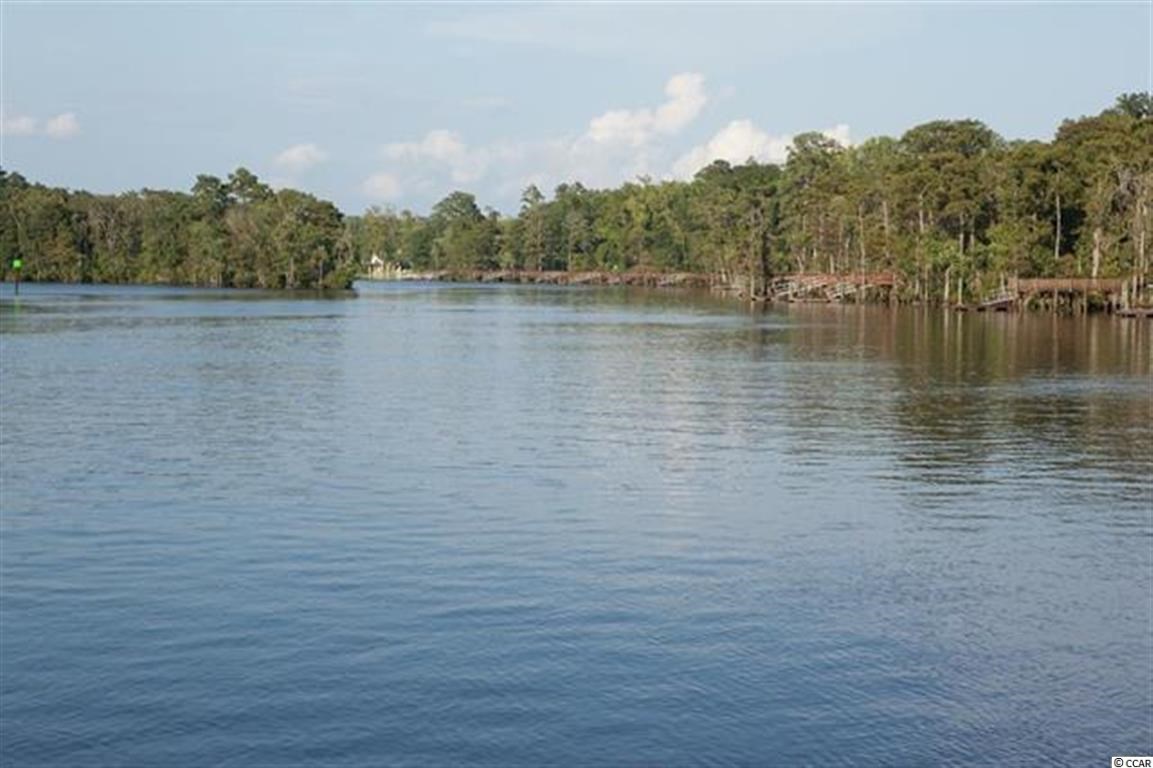 Lot 181 Chamberlin Road Myrtle Beach, SC 29588 - Photo 22 of 23 Gallery Image 22
