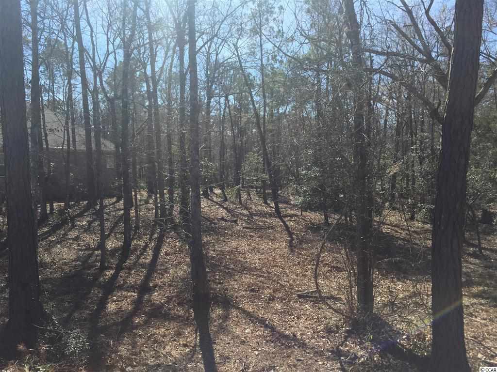 Lot 181 Chamberlin Road Myrtle Beach, SC 29588 - Photo 8 of 23 Gallery Image 8