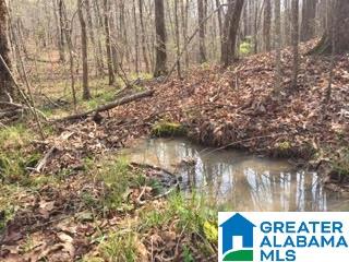 Pioneer Way, Unit 2 Sterrett, AL 35147 - Photo 8 of 24