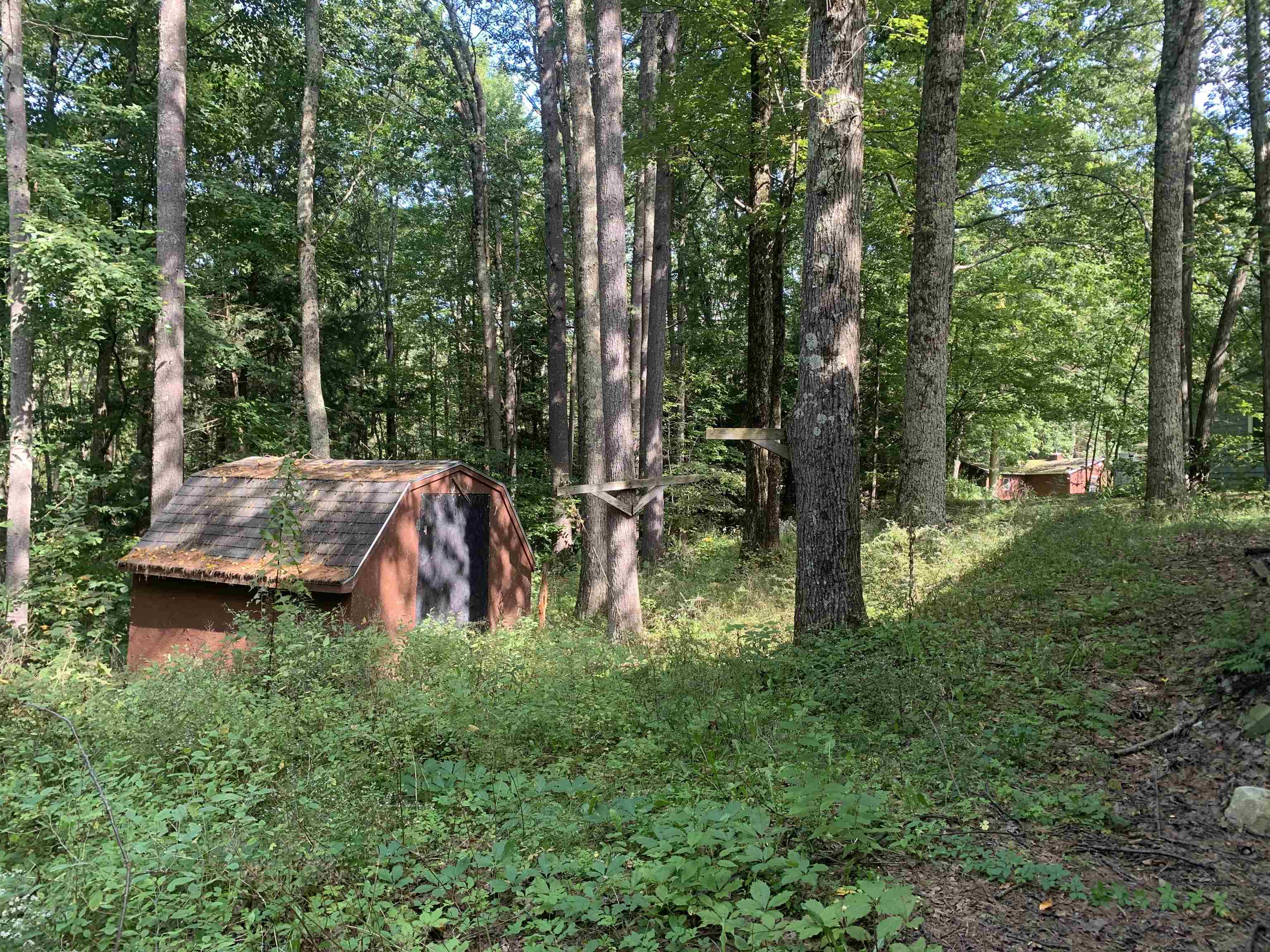 99 Fox Road Brandon, VT 05733 - Photo 25 of 35