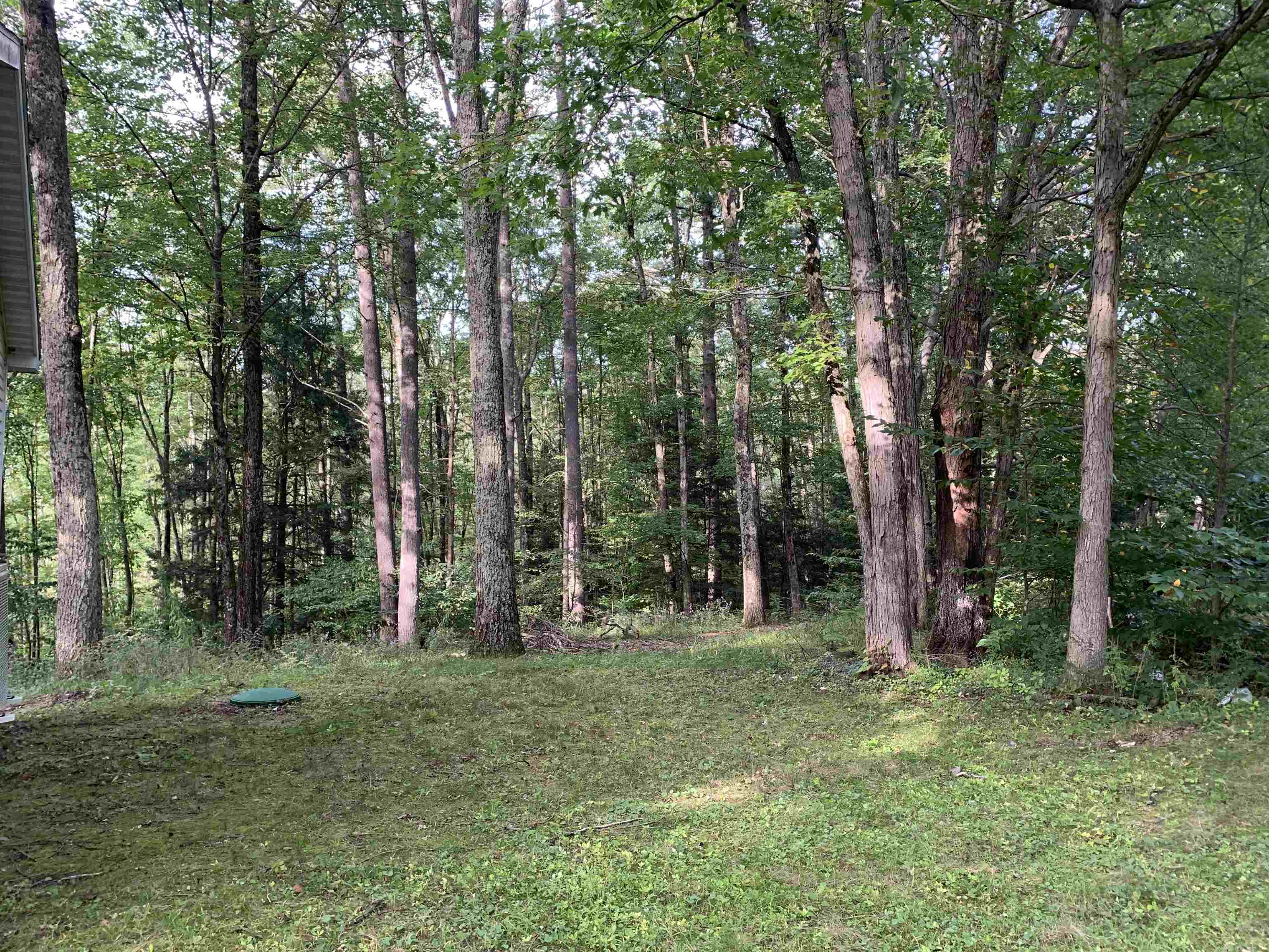 99 Fox Road Brandon, VT 05733 - Photo 26 of 35