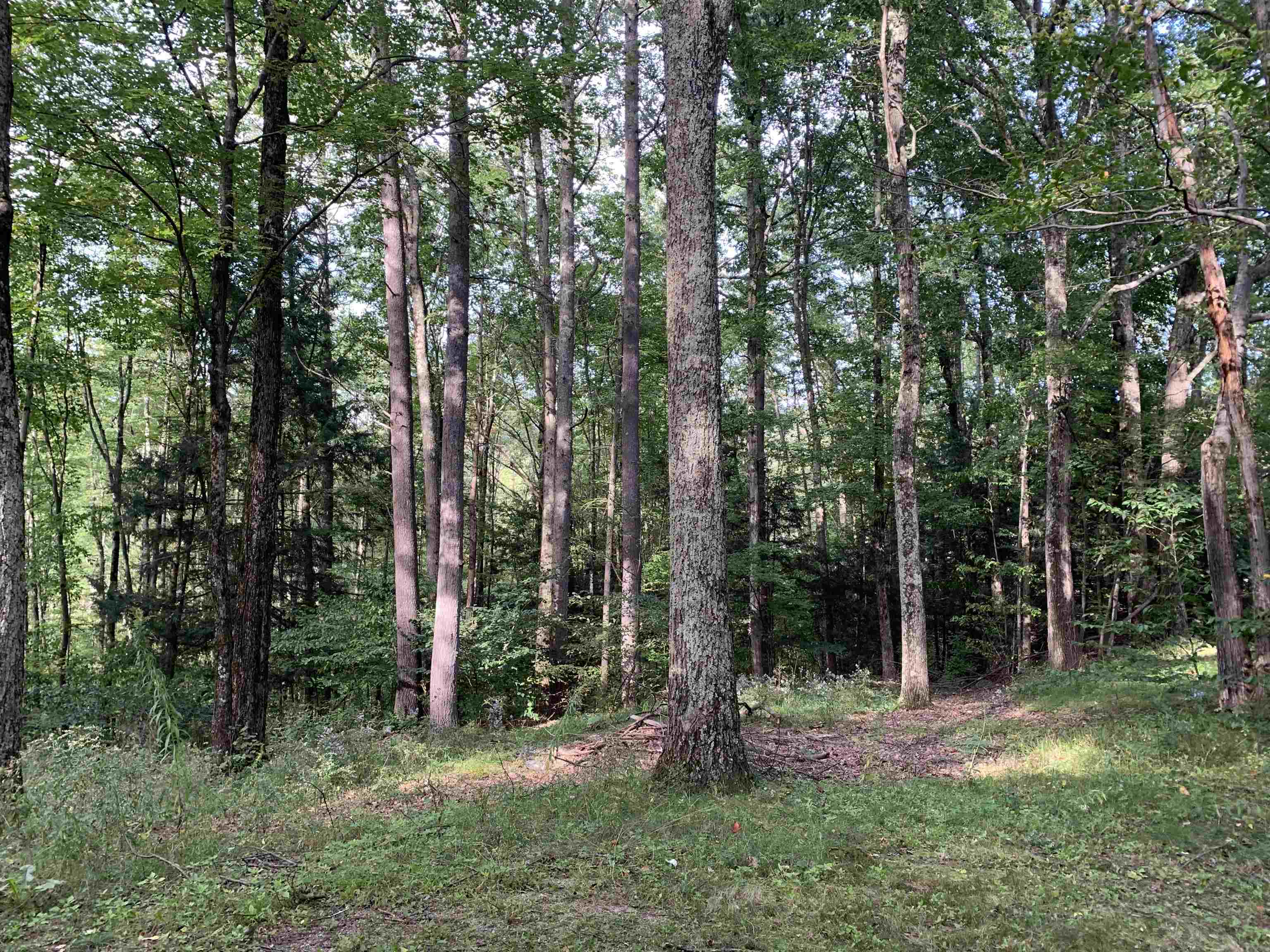 99 Fox Road Brandon, VT 05733 - Photo 31 of 35