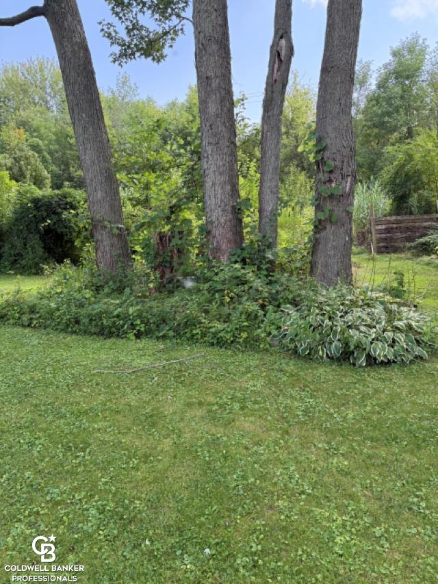 10729 Brandon Road Emmett, MI 48022 - Photo 44 of 48
