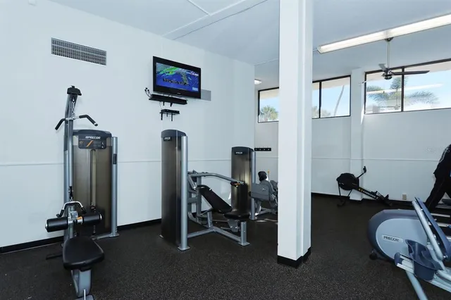 a view of a patio with couches chairs potted plants and a palm tree