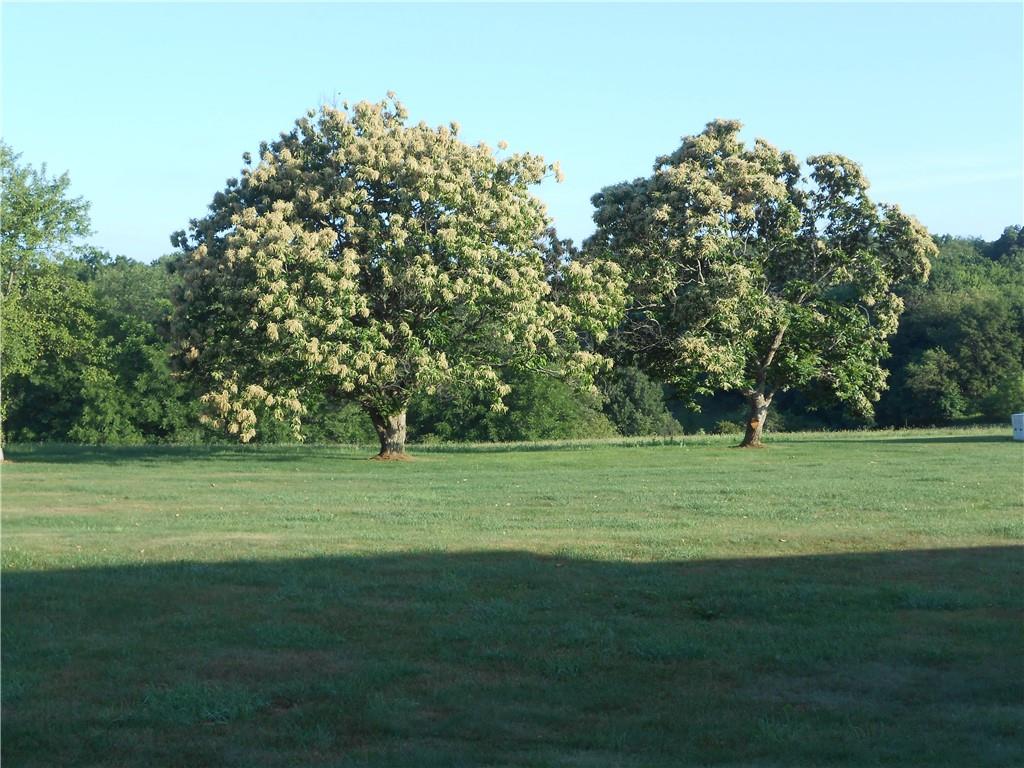 5146 McCandless Road Butler, PA 16001 - Photo 5 of 24 a yard with lots of trees and flowers
