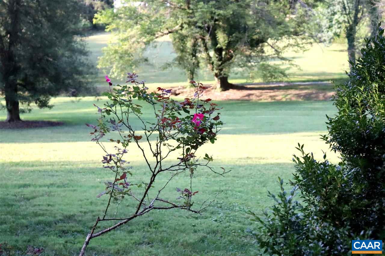 16 Canterbury Road Charlottesville, VA 22903 - Photo 31 of 37 a view of a lake with a tree