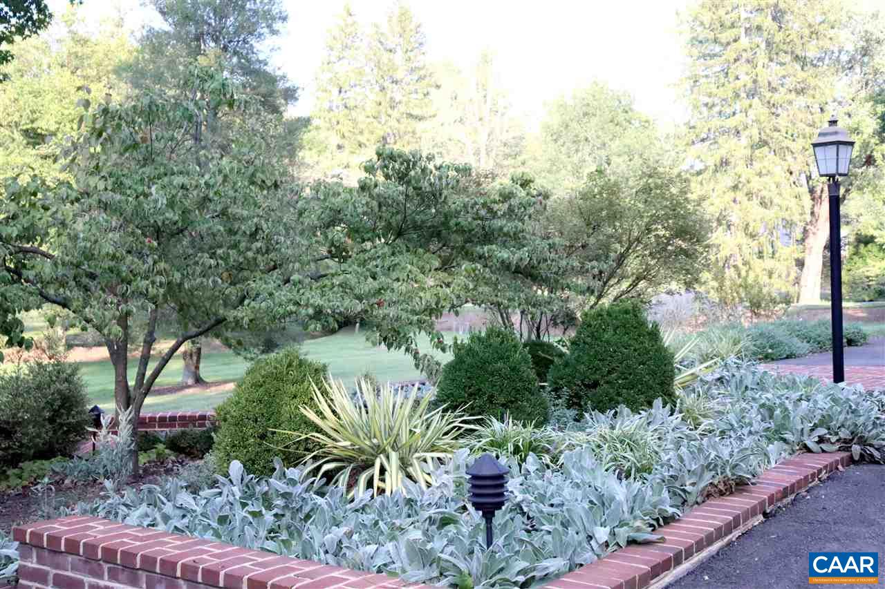 16 Canterbury Road Charlottesville, VA 22903 - Photo 33 of 37 a view of a garden with plants