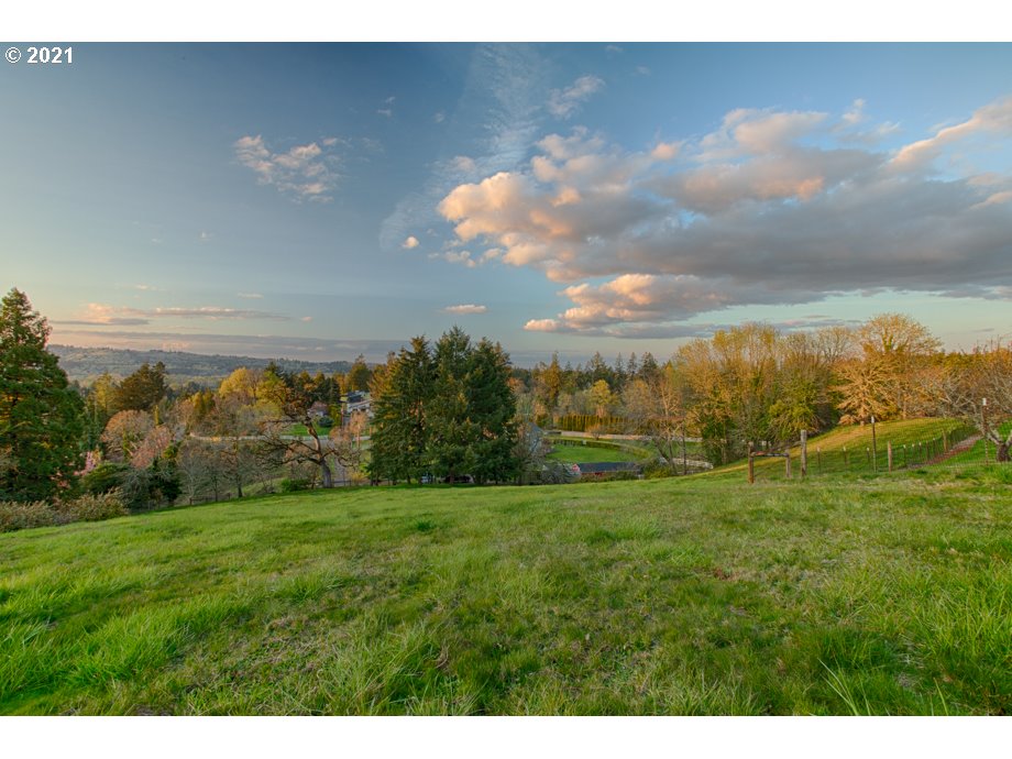 0 Viewcrest Road South Salem, OR 97302 - Photo 8 of 11
