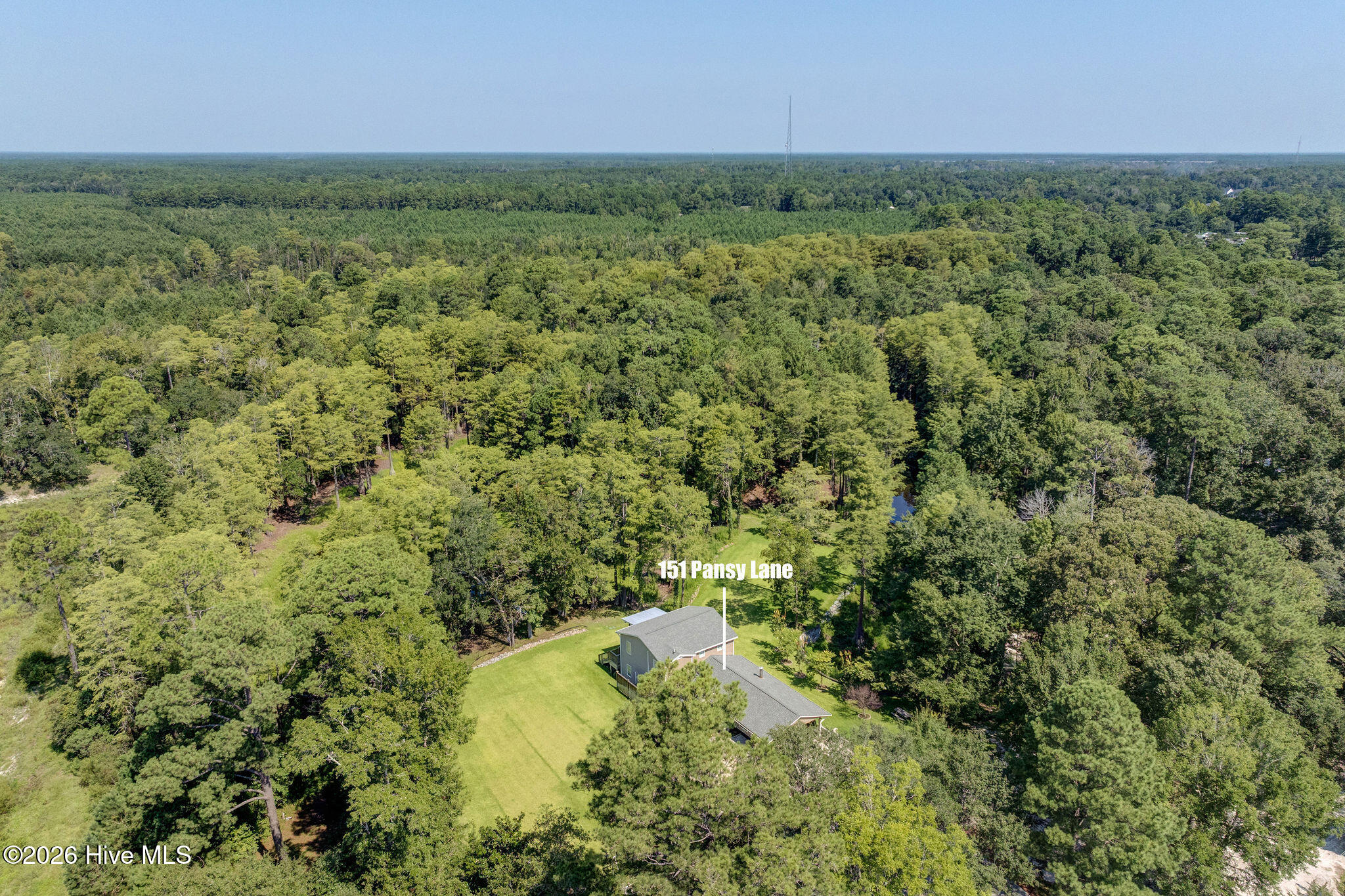 151 Pansy Lane Hampstead, NC 28443 - Photo 62 of 71 151PansyLaneDrone-4
