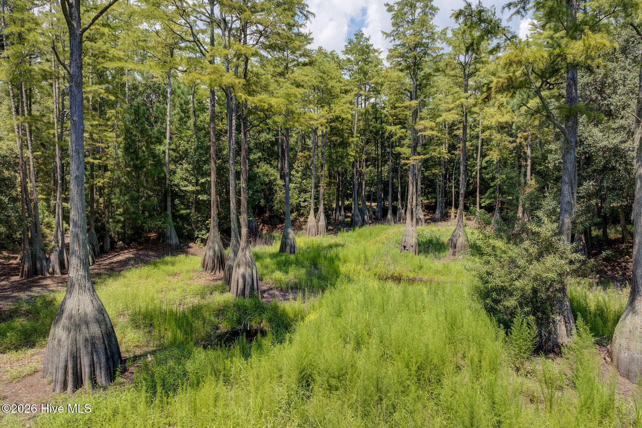 151 Pansy Lane Hampstead, NC 28443 - Photo 65 of 71 151PansyLaneDrone-17