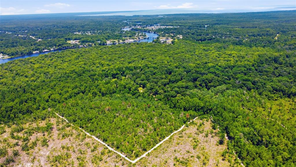 2140 St Johns River Road Astor, FL 32102 - Photo 31 of 36 a view of a lush green field