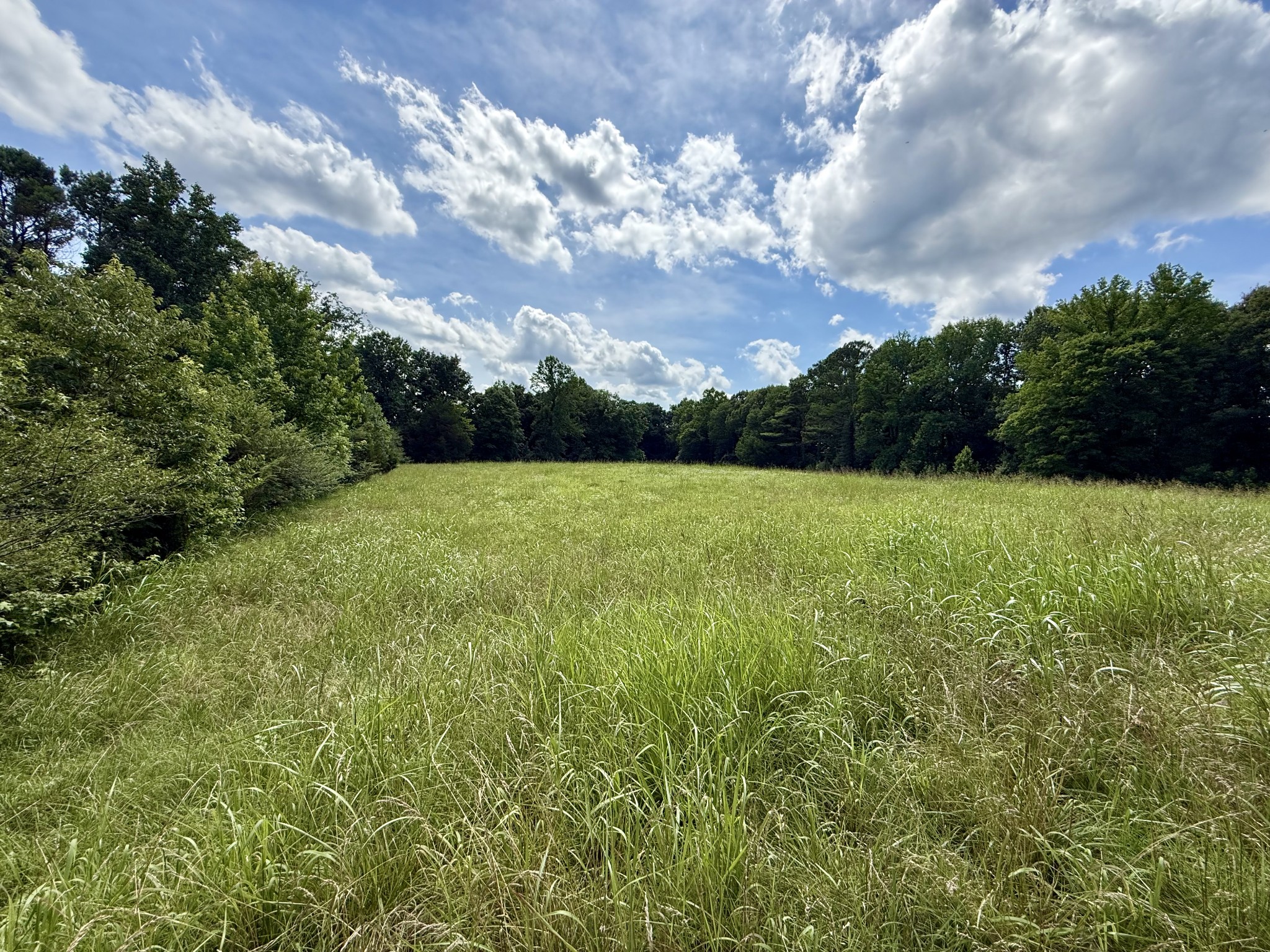 59 Hardin Loop Westpoint, TN 38486 - Photo 46 of 74