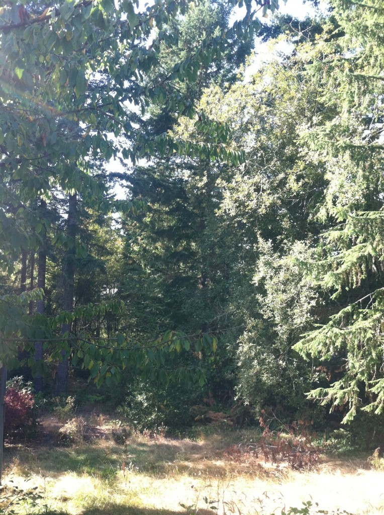 4420 Sunnyslope Road Southwest Port Orchard, WA 98367 - Photo 3 of 3 Gallery Image 3