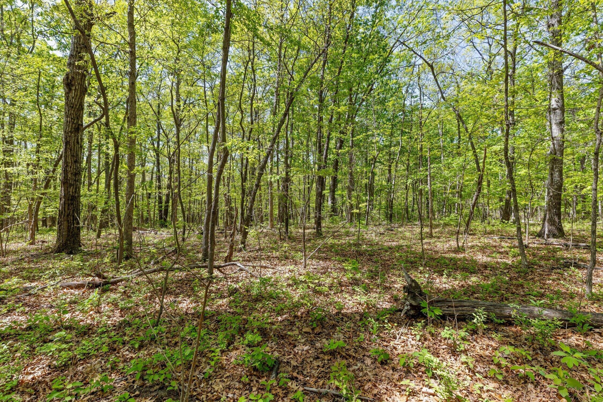 0 Deepwoods Road Sewanee, TN 37375 - Photo 35 of 50