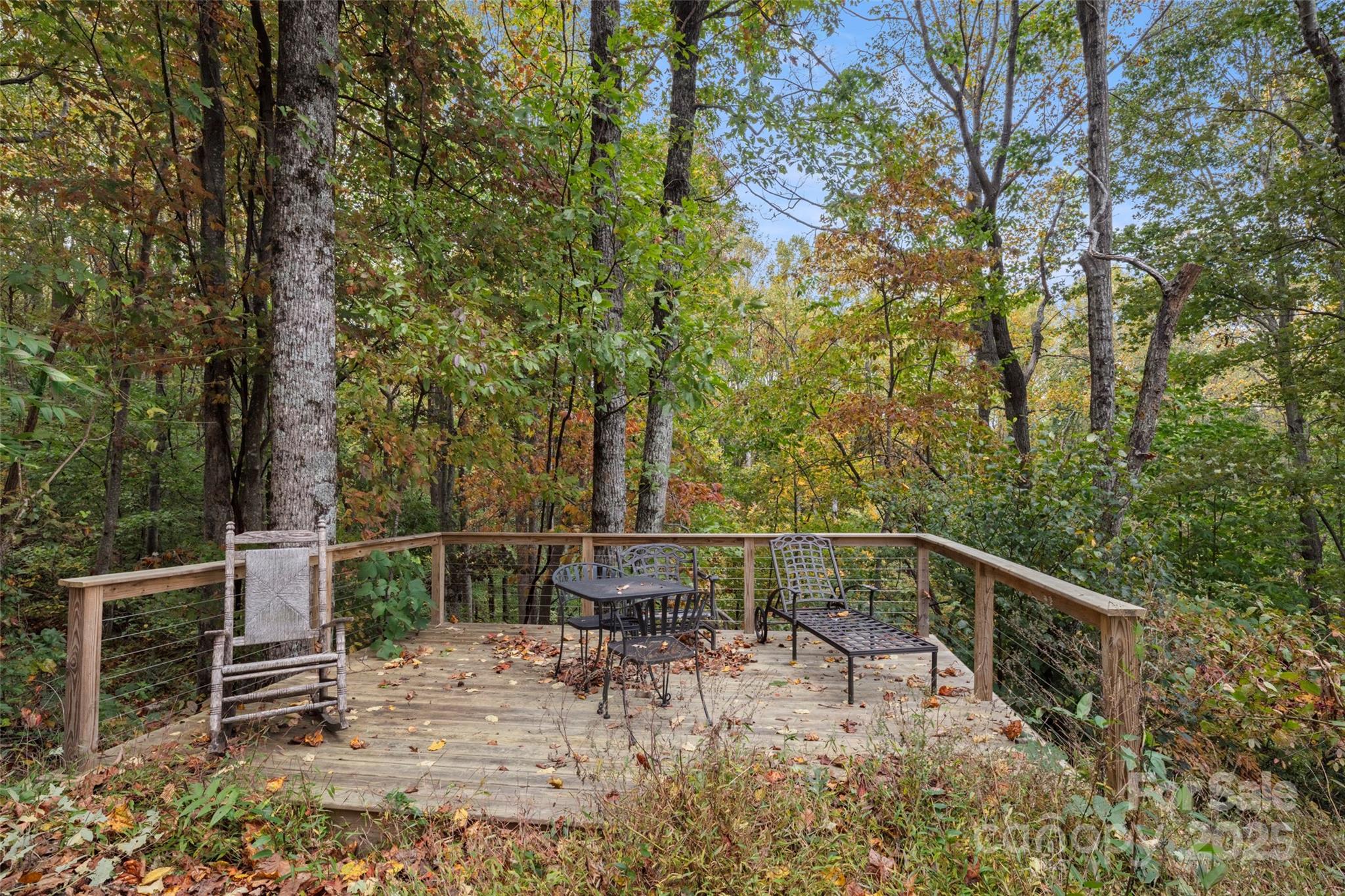 615 Pollys Mountain Road Saluda, NC 28773 - Photo 26 of 47