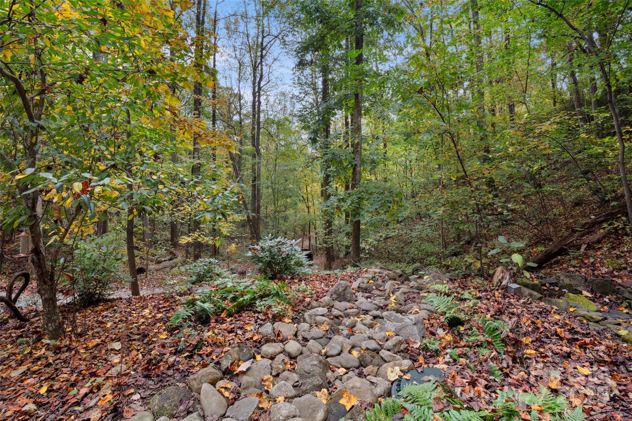 615 Pollys Mountain Road Saluda, NC 28773 - Photo 29 of 47