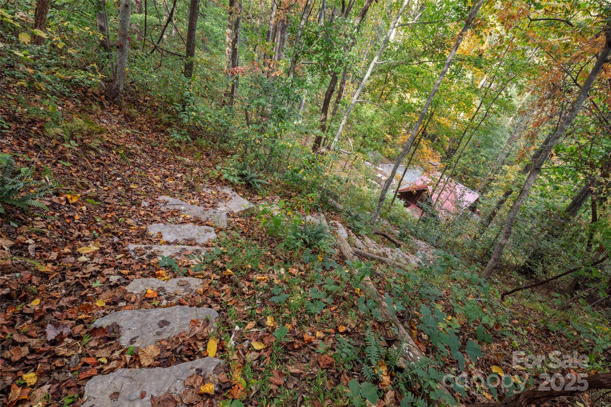 615 Pollys Mountain Road Saluda, NC 28773 - Photo 32 of 47