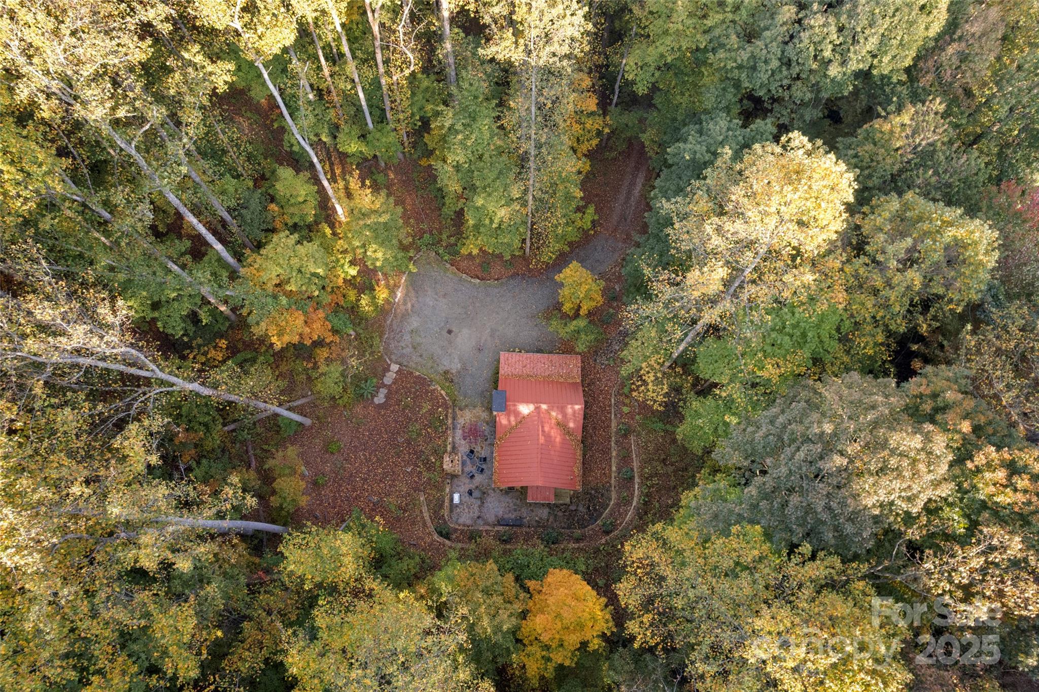 615 Pollys Mountain Road Saluda, NC 28773 - Photo 40 of 47