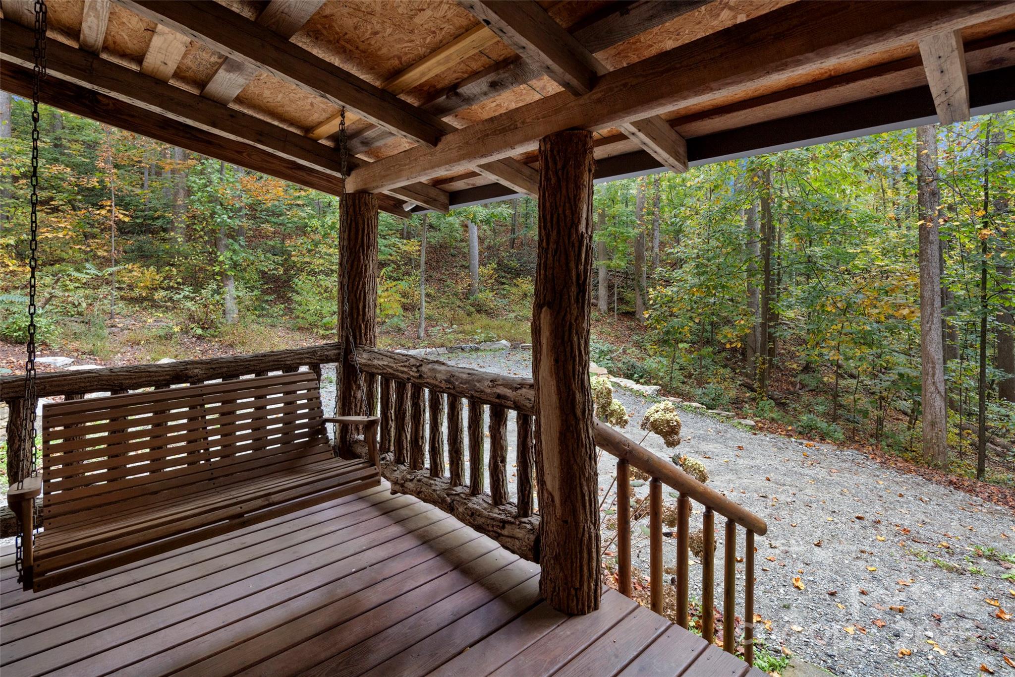 615 Pollys Mountain Road Saluda, NC 28773 - Photo 4 of 47