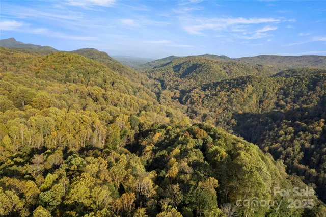 $535,000 | 615 Pollys Mountain Road, Saluda, NC 28773