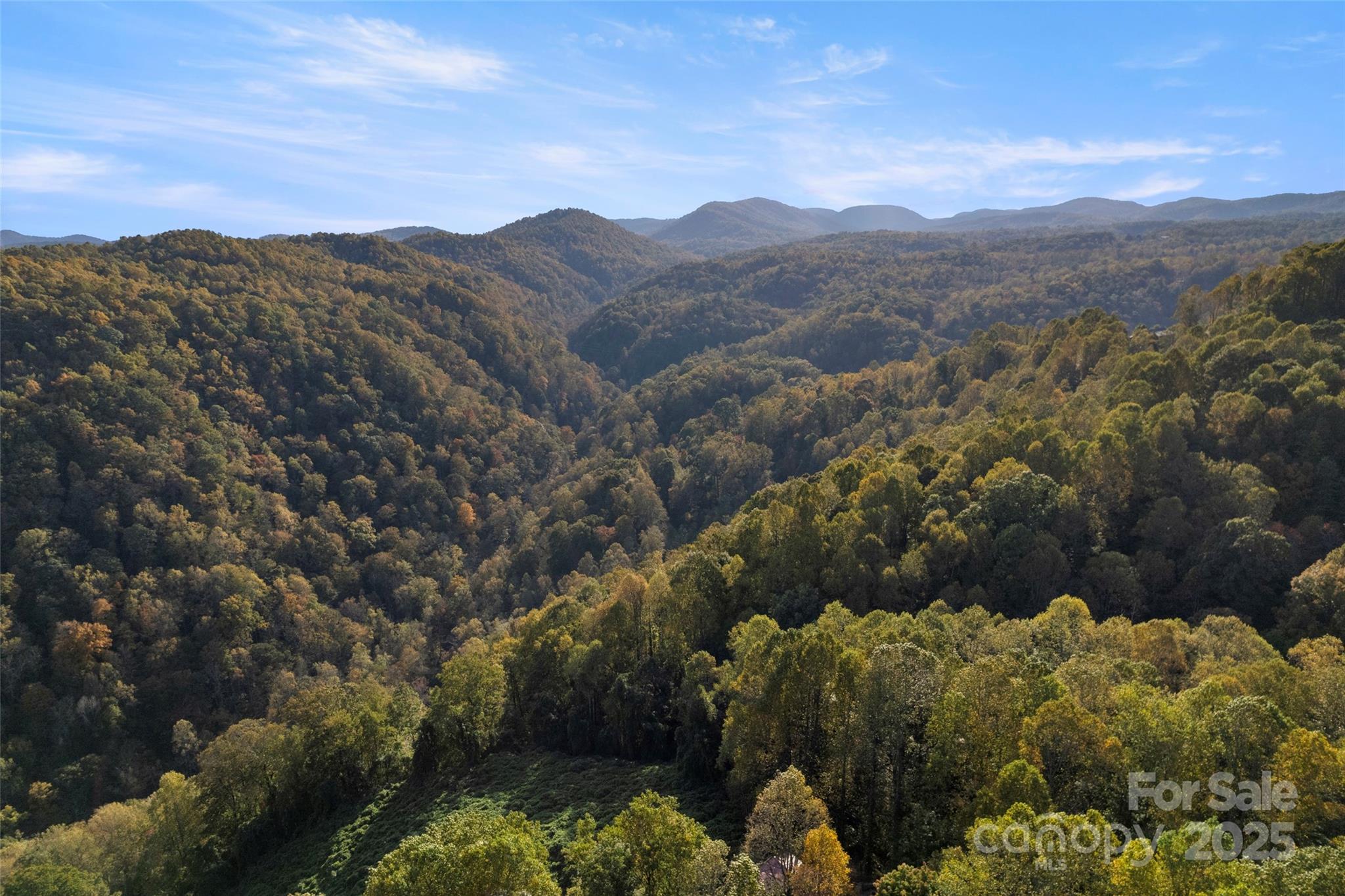 615 Pollys Mountain Road Saluda, NC 28773 - Photo 43 of 47