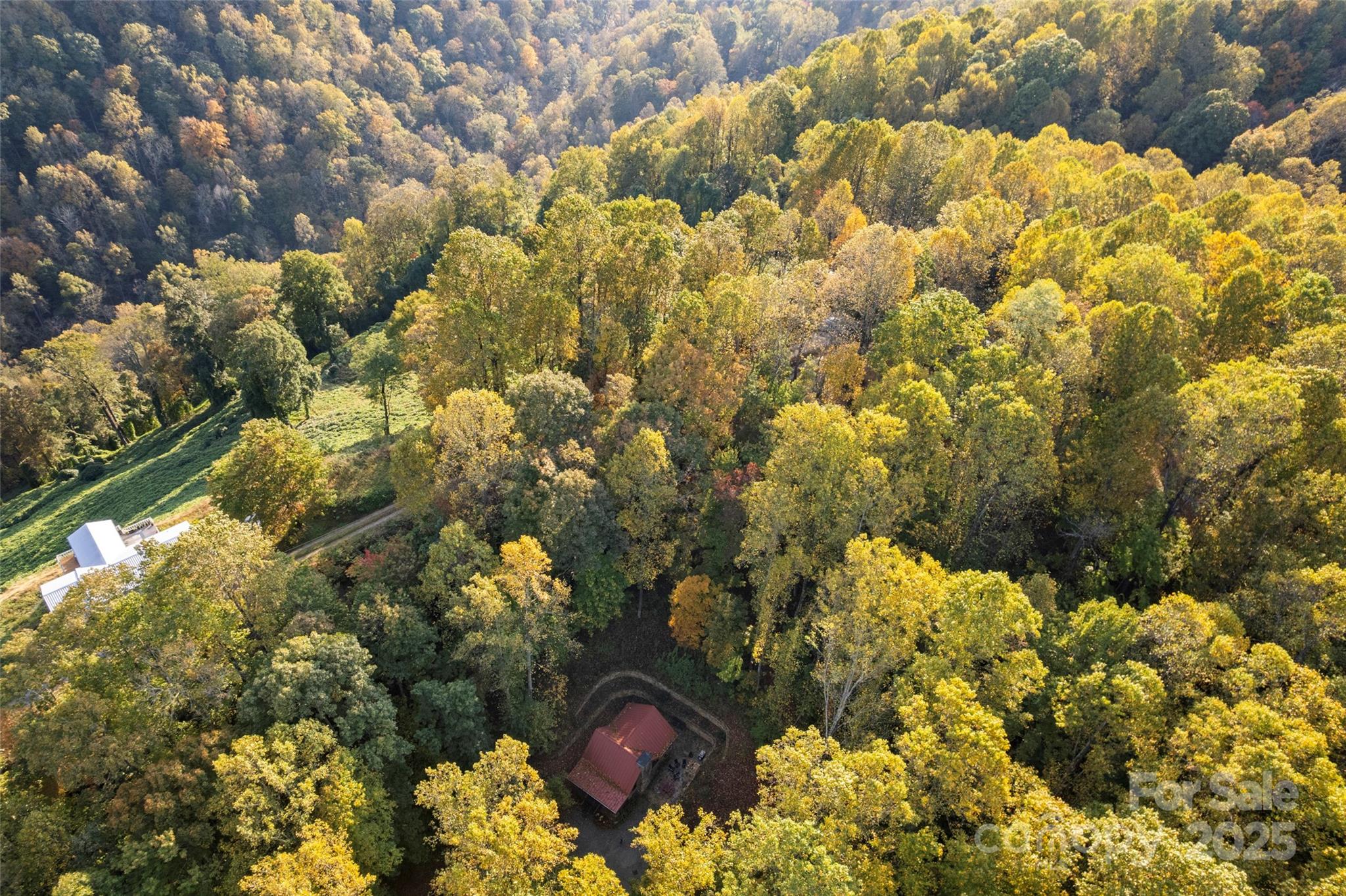 615 Pollys Mountain Road Saluda, NC 28773 - Photo 44 of 47