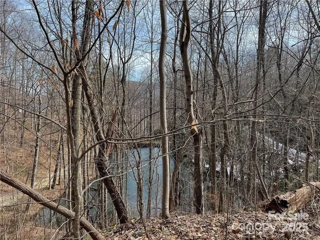 $535,000 | 615 Pollys Mountain Road, Saluda, NC 28773