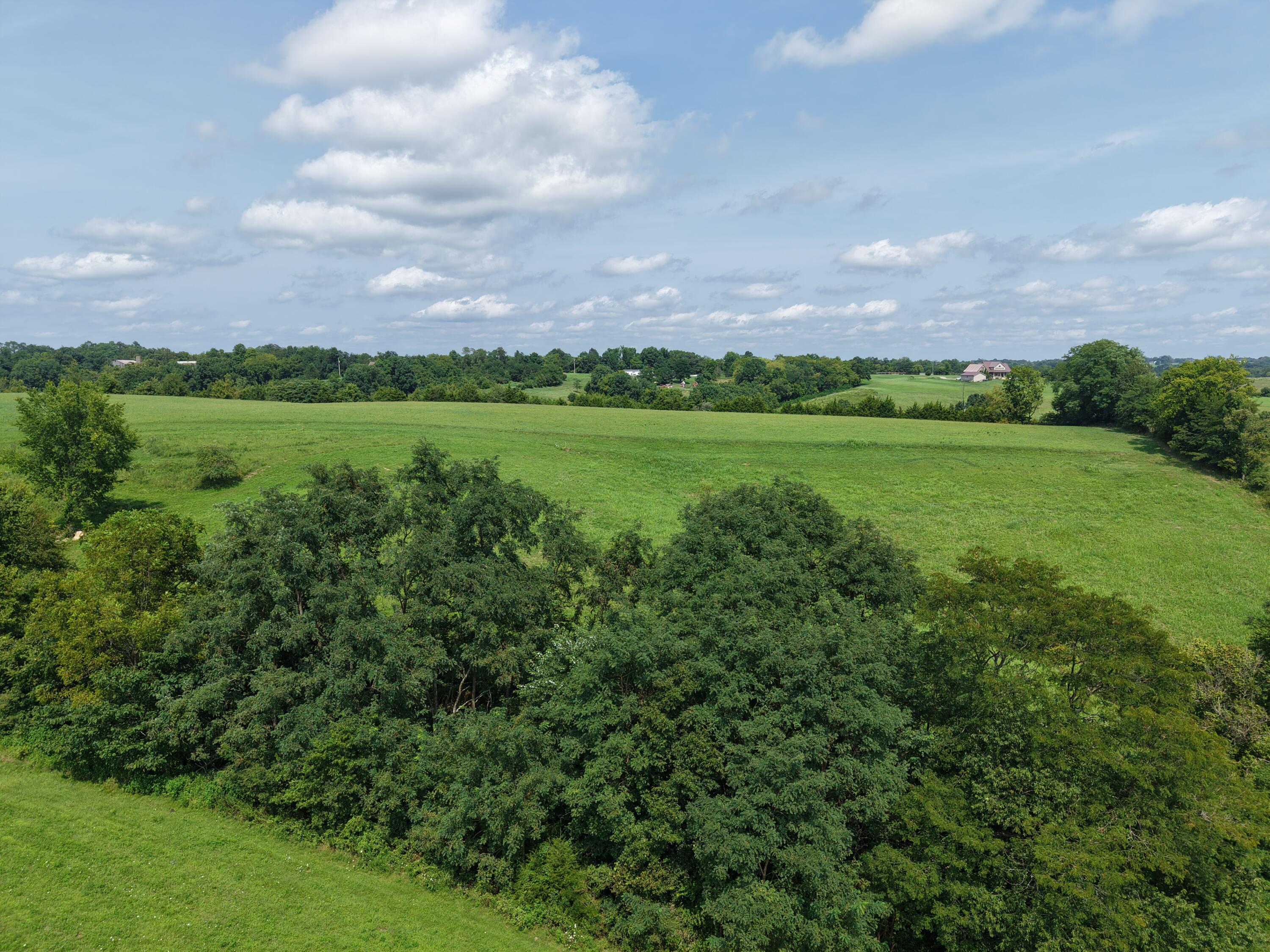 0 Kentucky 159 Butler, KY 41006 - Photo 8 of 12 dji_fly_20260813_150830_0278_17866752712