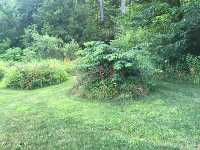 443 Middle Road Clarksburg, MA 01247 - Photo 27 of 31 IMG_3693