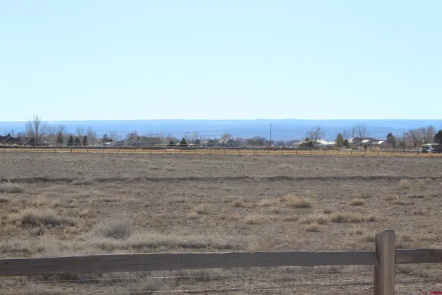 a view of a field with trees in background