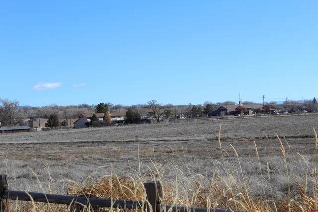 a view of a dry yard with trees