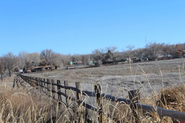 a view of a dry yard with trees and bushes