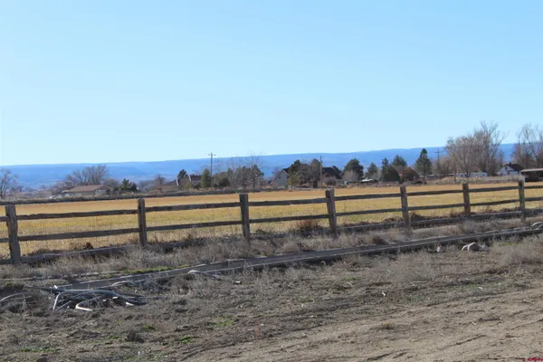 a view of a yard with wooden fence