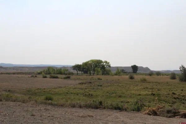 a view of a field with trees in background