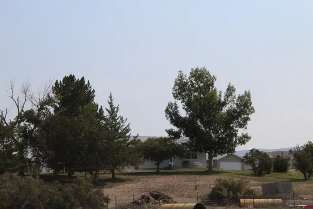 a backyard of a house with lots of green space