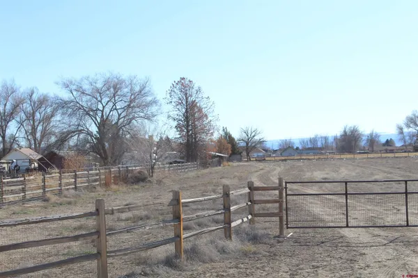 a view of a yard with wooden fence