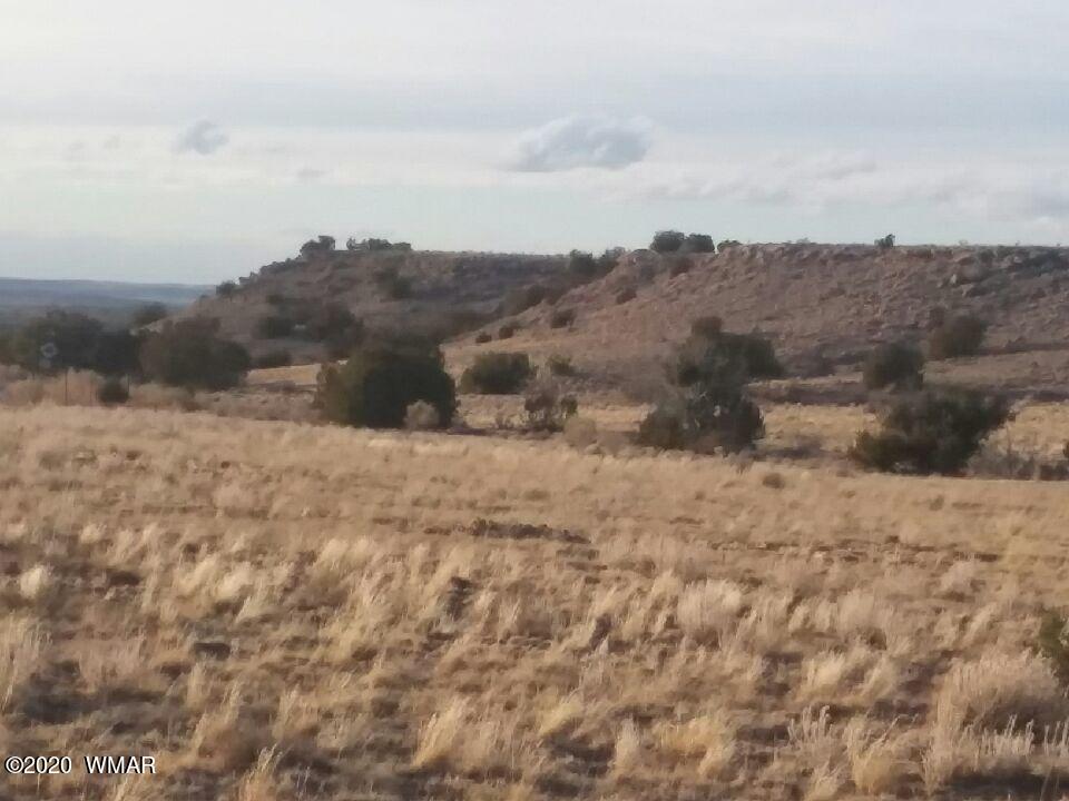 St-johns Az 85936 Road Eagar, AZ 85925 - Photo 1 of 9