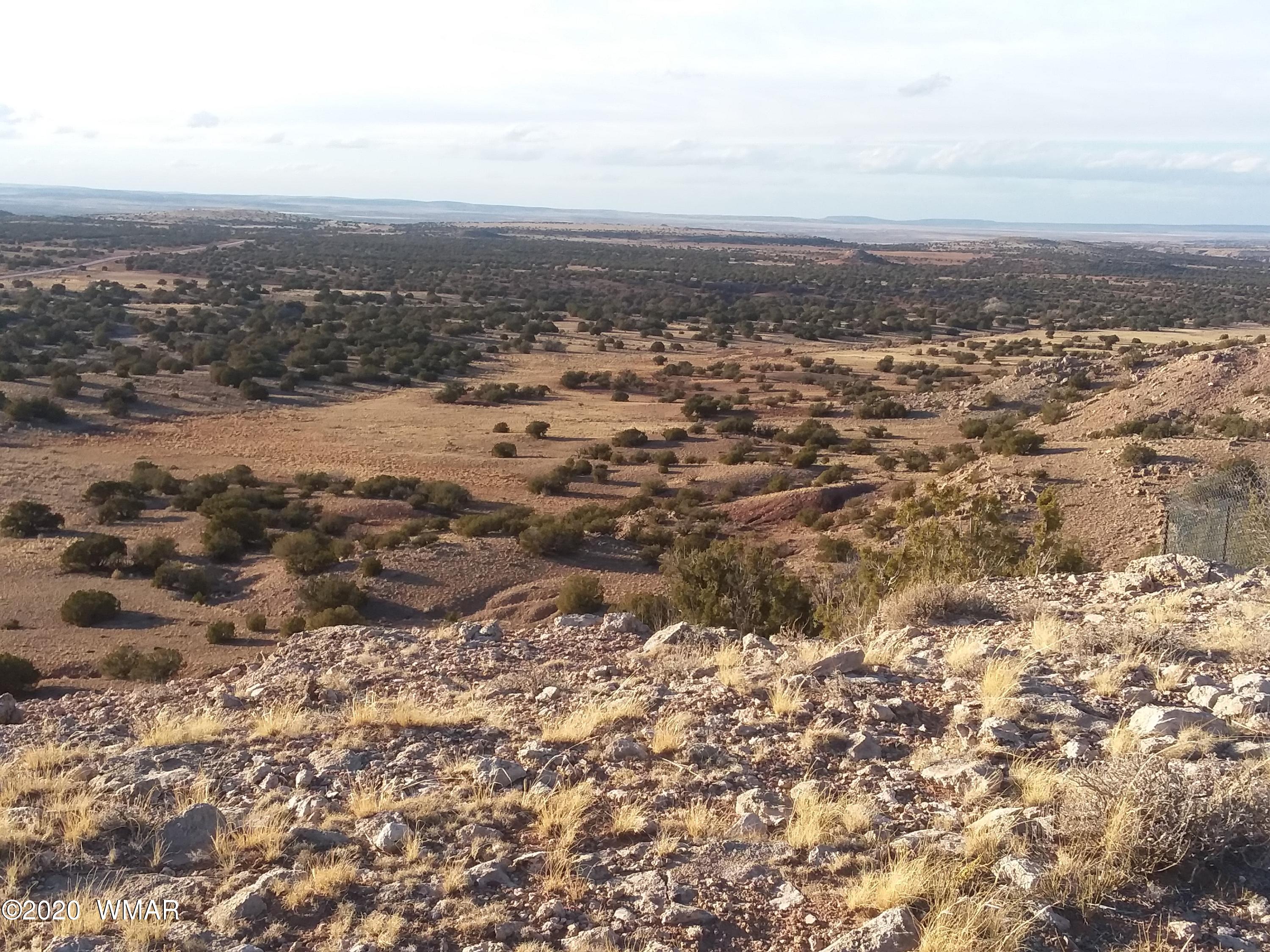 St-johns Az 85936 Road Eagar, AZ 85925 - Photo 8 of 9