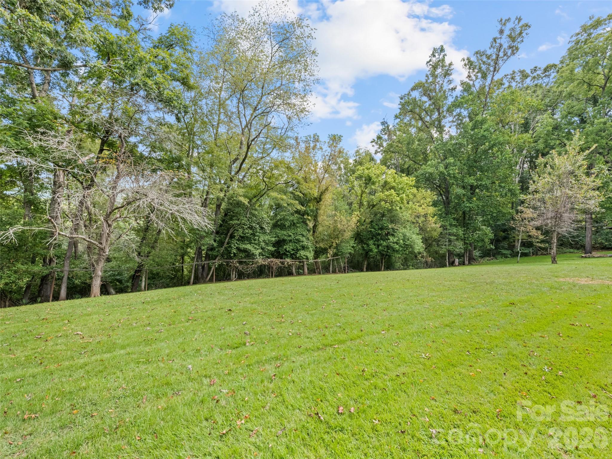 2968 Dutch Cove Road Canton, NC 28716 - Photo 6 of 30 Gallery Image 6