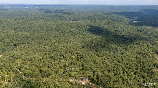 $115,000 | 1636 Wayne 359, Piedmont, MO 63957