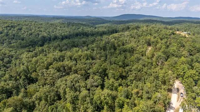 $115,000 | 1636 Wayne 359, Piedmont, MO 63957