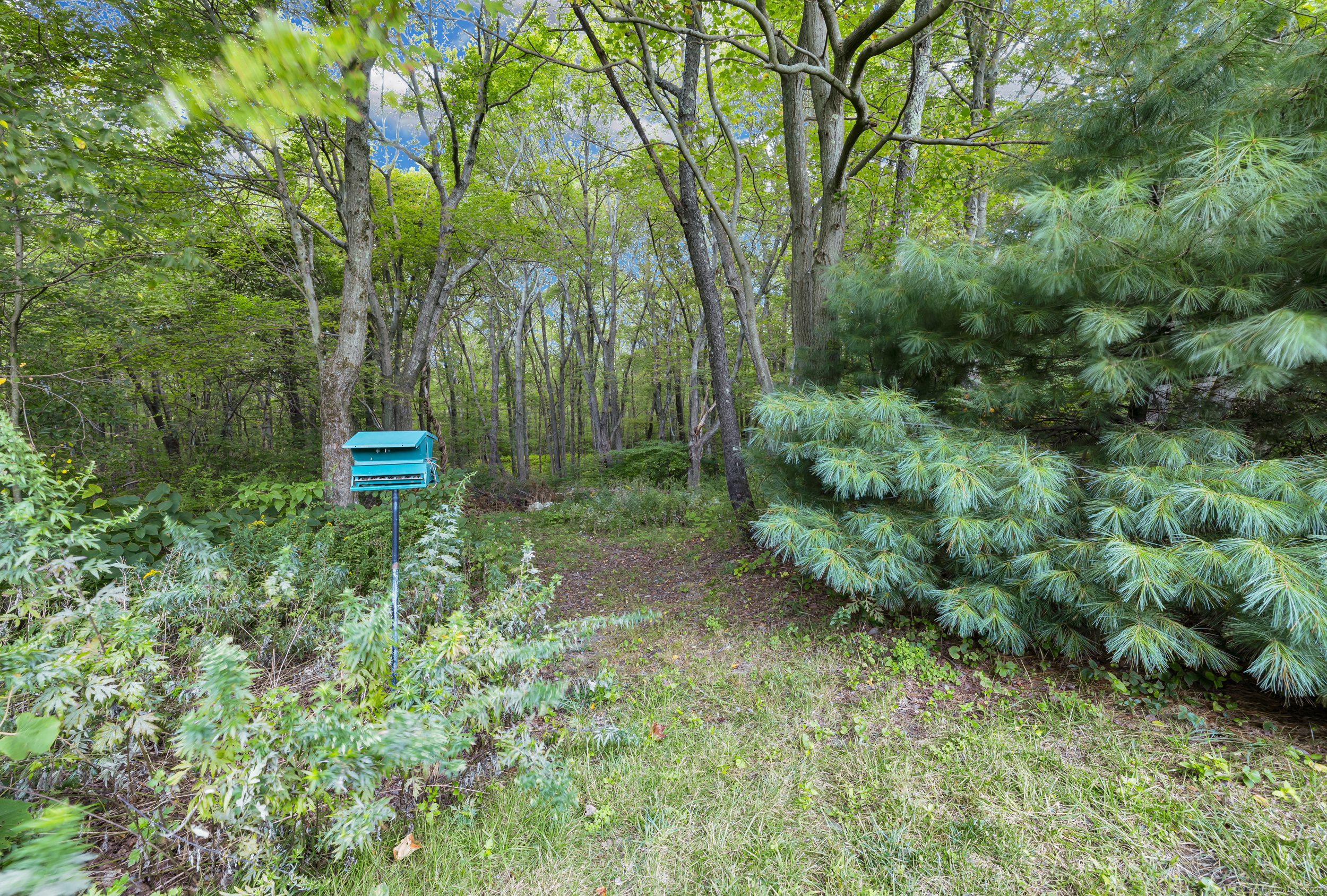 1259 Wolcott Road Wolcott, CT 06716 - Photo 10 of 30 a view of a green yard with large trees