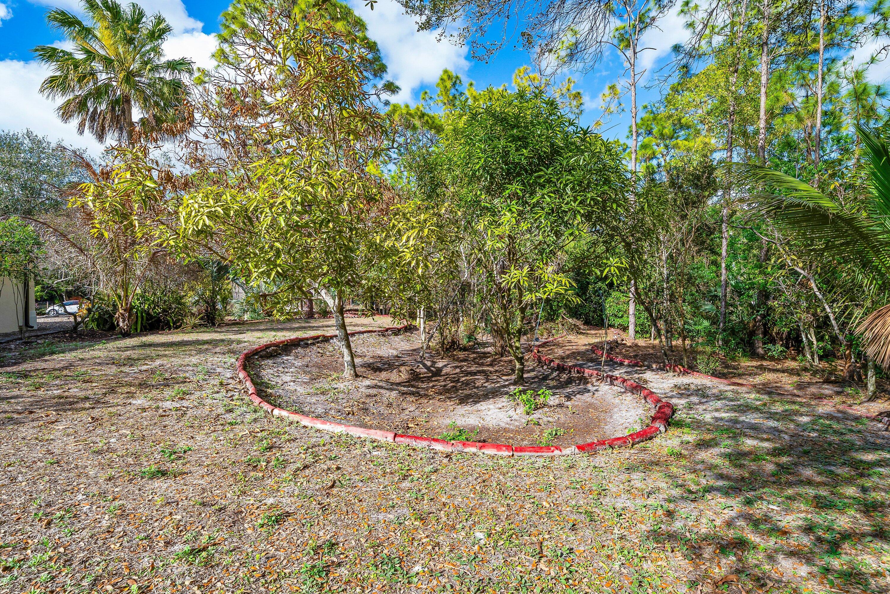 18098 93rd Road North The Acreage, FL 33470 - Photo 40 of 60 a view of a fire pit with large trees