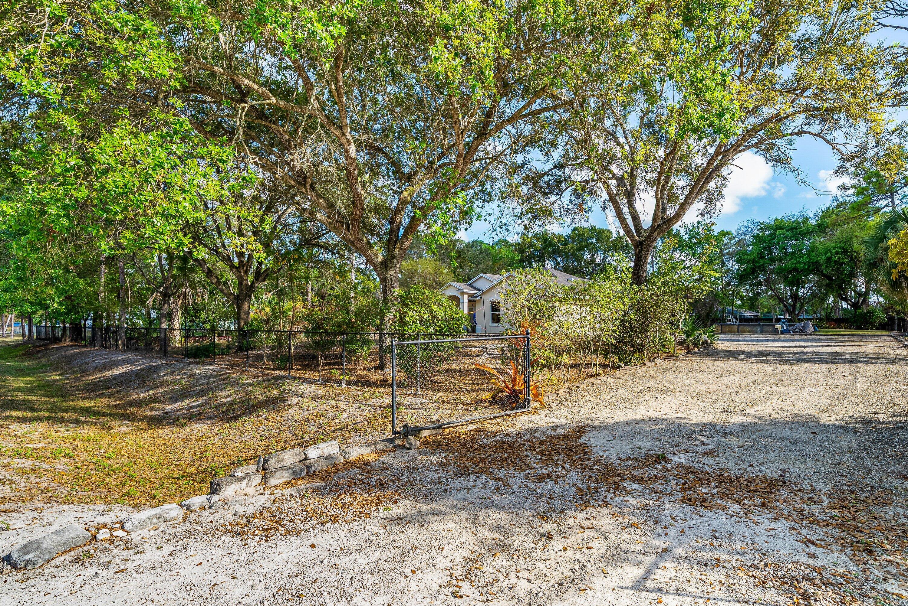 18098 93rd Road North The Acreage, FL 33470 - Photo 4 of 60 a view of a yard with a tree