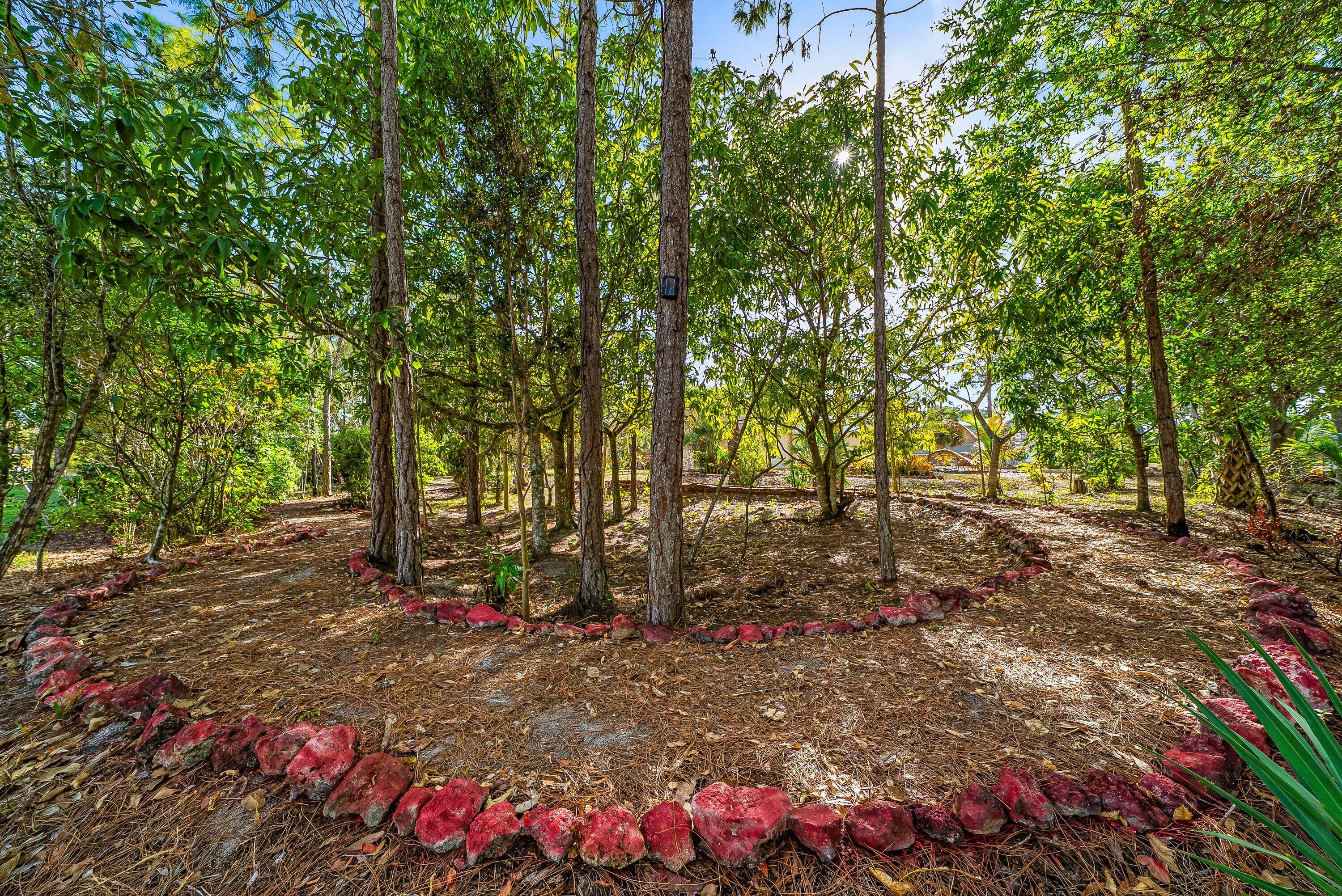 18098 93rd Road North The Acreage, FL 33470 - Photo 41 of 60 a view of street with trees