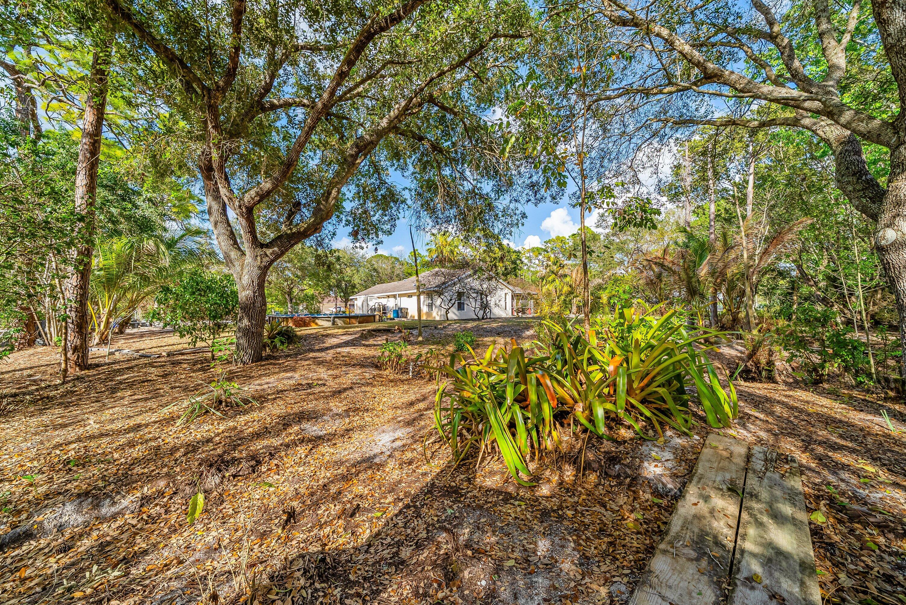 18098 93rd Road North The Acreage, FL 33470 - Photo 45 of 60 a view of street with trees