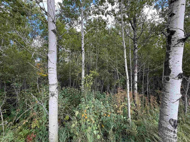 $139,900 | Tbd Tbd Itasca County, Wirt, MN 56688